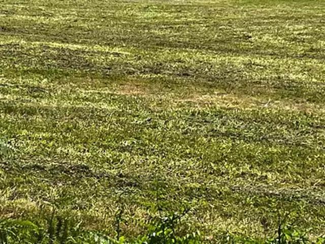 Terrain vente à France métropolitaine, Pons