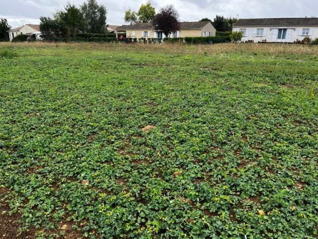 Terrain vente à France métropolitaine, Pons