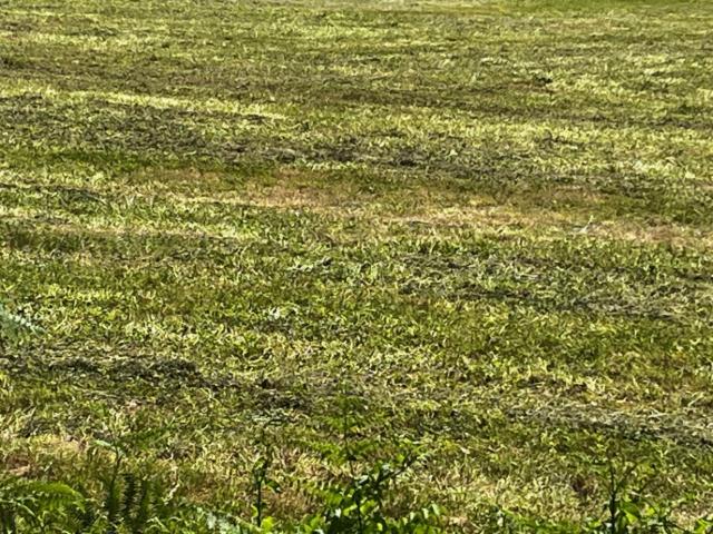 Terrain vente à France métropolitaine, Pons