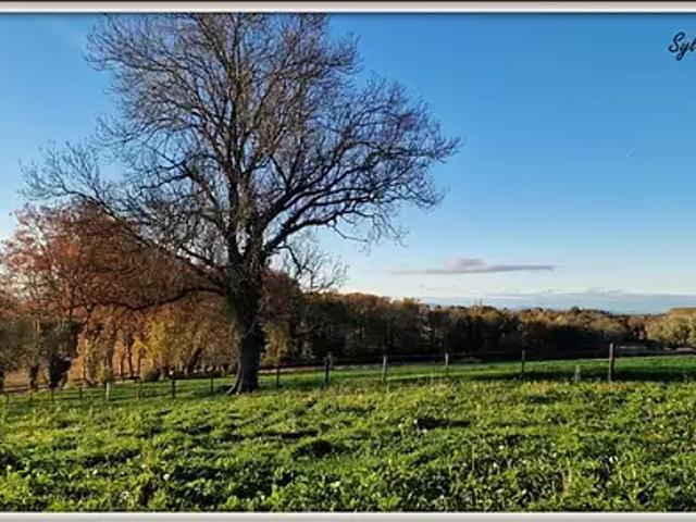 Maison vente à Bourg-en-Bresse, Biziat