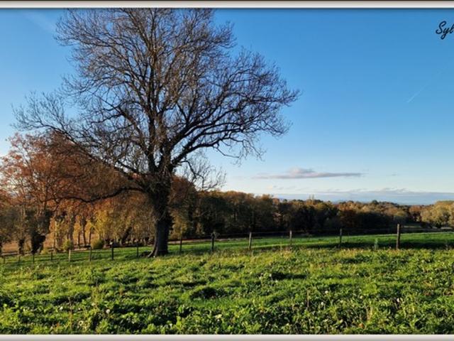 Ferme vente à Bourg-en-Bresse, Biziat