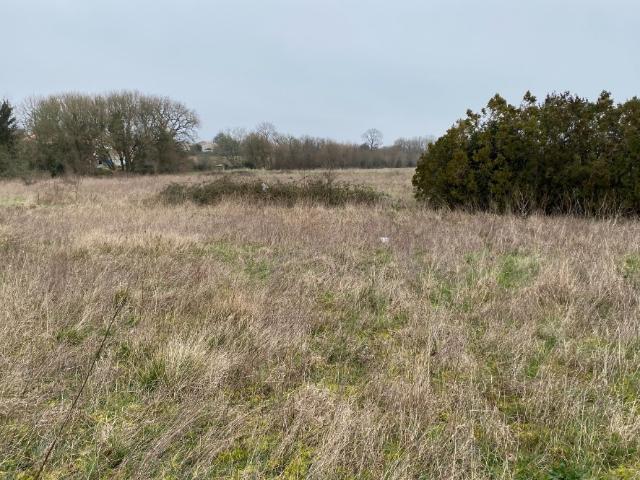Terrain vente à Saintes, Pont-l'abbé-d'arnoult