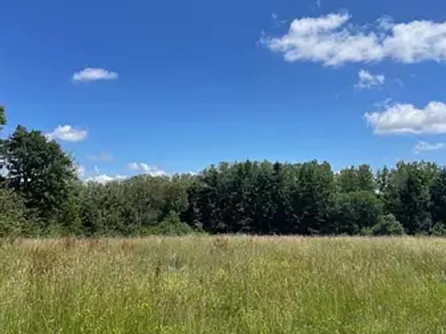 Terrain vente à Lisieux, Pont-l'evêque