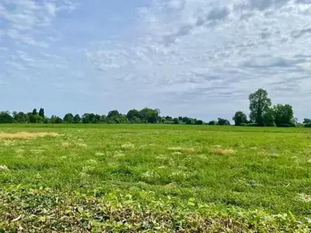 Terrain vente à Lisieux, Pont-l'evêque