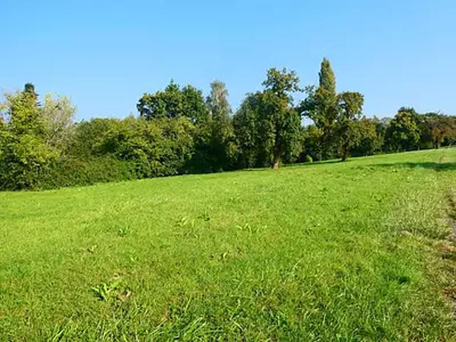 Terrain vente à Lisieux, Pont-l'evêque