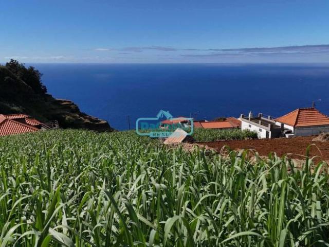 Terreno venda em Pombal, Leiria