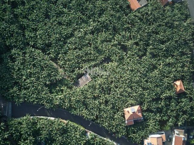 Terreno venda em Esposende, Braga