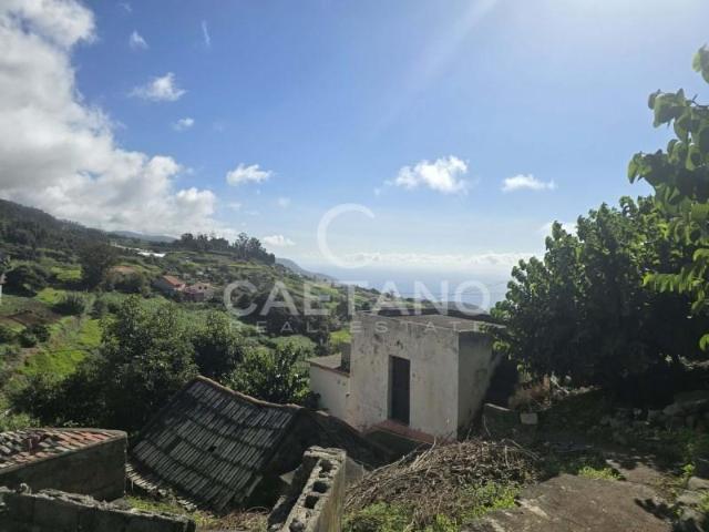Terreno venda em Ponta Do Sol, Ilha Da Madeira