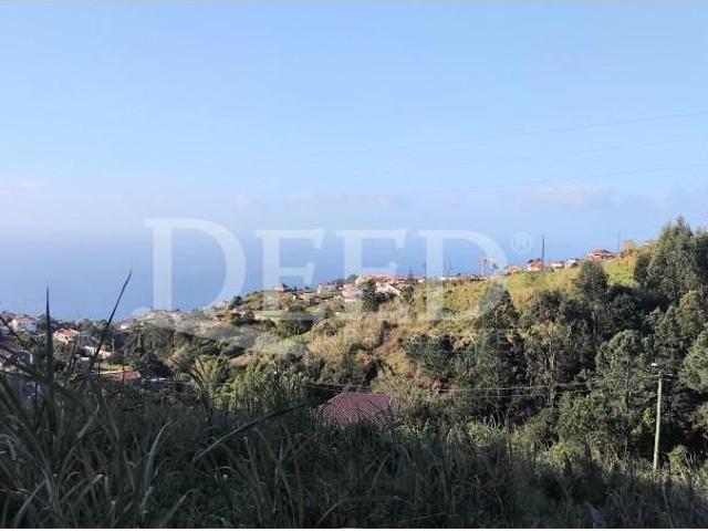 Terreno venda em Ponta Do Sol, Ilha Da Madeira