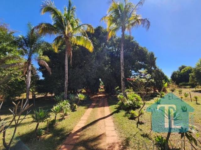 Sítio e chácara venda em Região Geográfica Imediata do Distrito Federal, Região Integrada de Desenvolvimento do Distrito Federal e Entorno