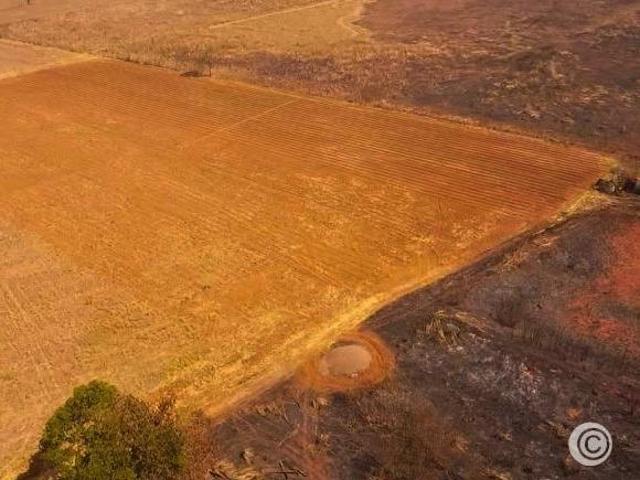 Sítio e chácara venda em Região Geográfica Imediata do Distrito Federal, Região Integrada de Desenvolvimento do Distrito Federal e Entorno