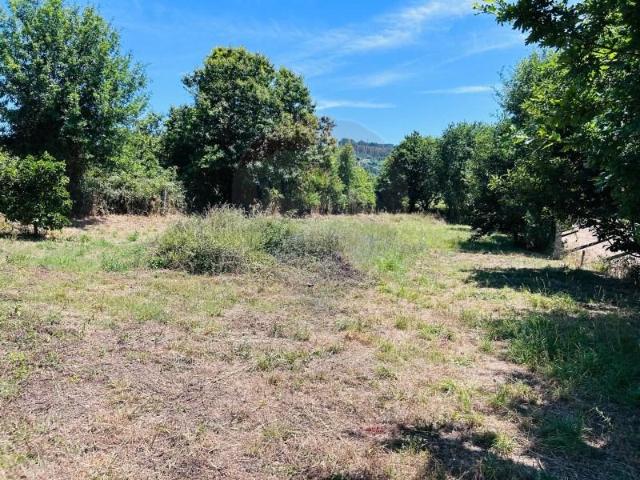 Terreno venda em Grovelas São João Evangelista, Viana Do Castelo