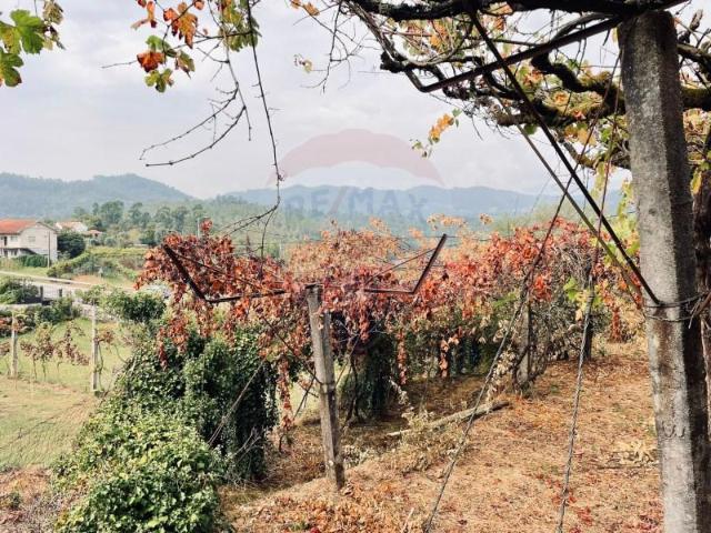 Terreno venda em Grovelas São João Evangelista, Viana Do Castelo