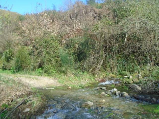 Terreno venda em Grovelas São João Evangelista, Viana Do Castelo