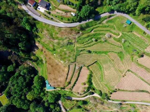 Terreno venda em Grovelas São João Evangelista, Viana Do Castelo