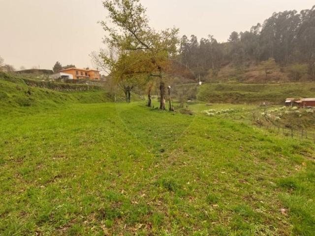 Terreno venda em Grovelas São João Evangelista, Viana Do Castelo