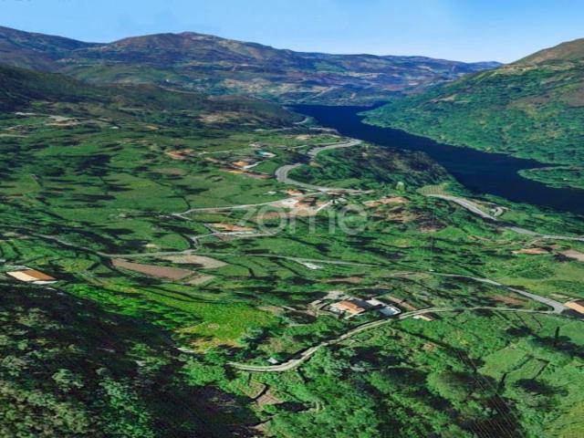 Terreno venda em Grovelas São João Evangelista, Viana Do Castelo