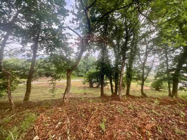 Terreno venda em Grovelas São João Evangelista, Viana Do Castelo