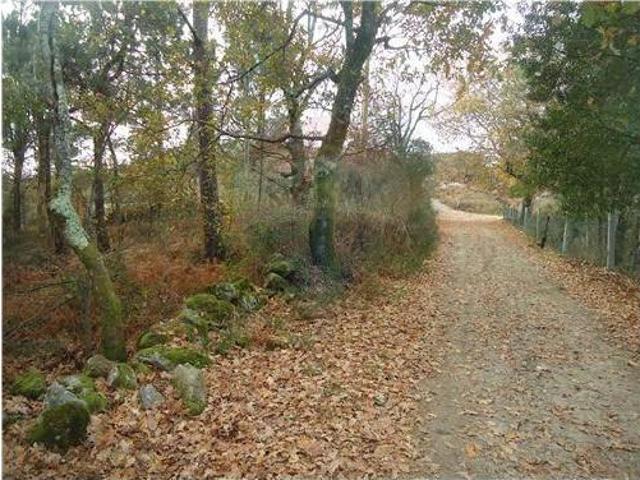 Terreno venda em Grovelas São João Evangelista, Viana Do Castelo