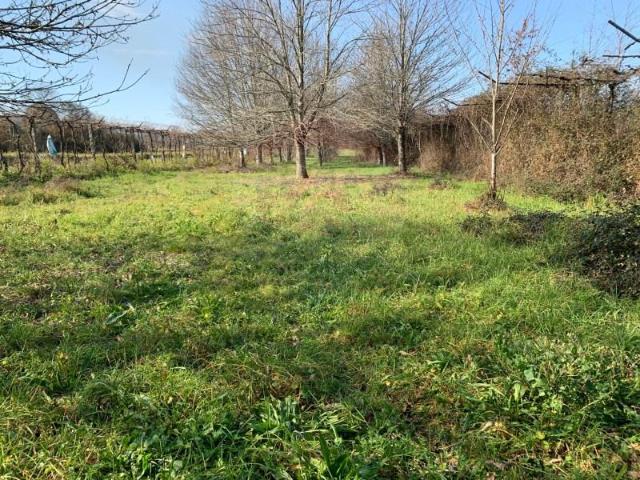 Terreno venda em Grovelas São João Evangelista, Viana Do Castelo