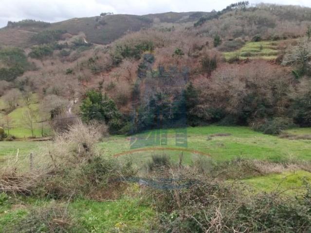Terreno venda em Grovelas São João Evangelista, Viana Do Castelo