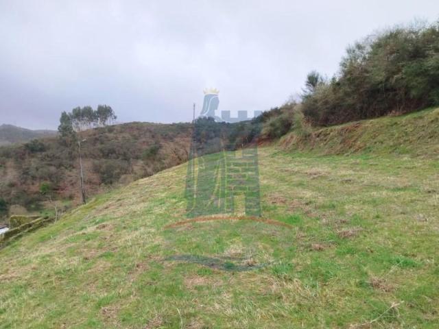 Terreno venda em Grovelas São João Evangelista, Viana Do Castelo