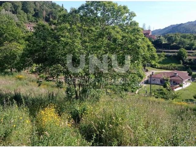 Terreno venda em Grovelas São João Evangelista, Viana Do Castelo