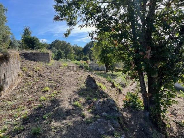 Terreno venda em Grovelas São João Evangelista, Viana Do Castelo