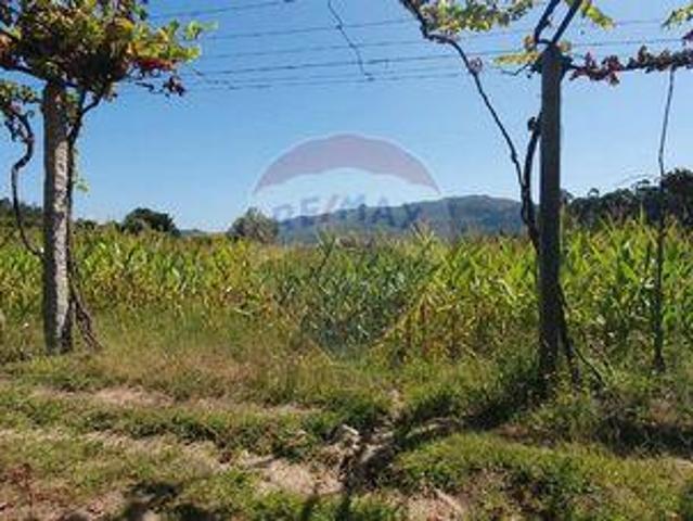 Terreno venda em Grovelas São João Evangelista, Viana Do Castelo