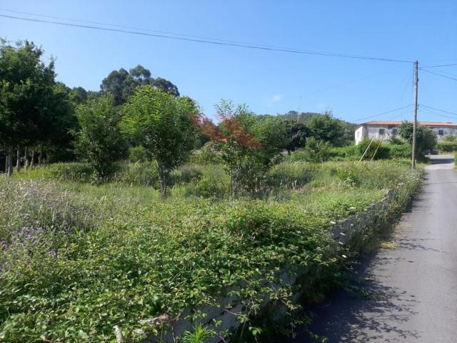 Terreno venda em Arca e Ponte de Lima, Ponte de Lima