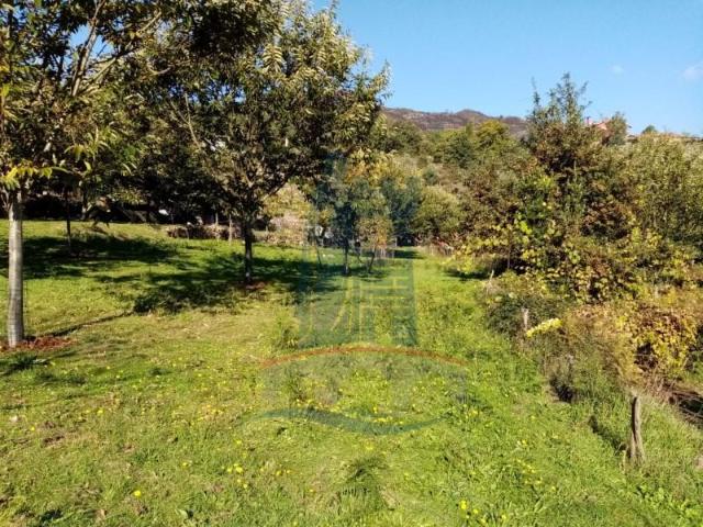 Terreno venda em Arca e Ponte de Lima, Boalhosa