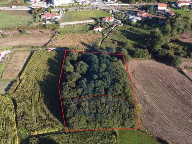 Terreno venda em Arca e Ponte de Lima, Boalhosa