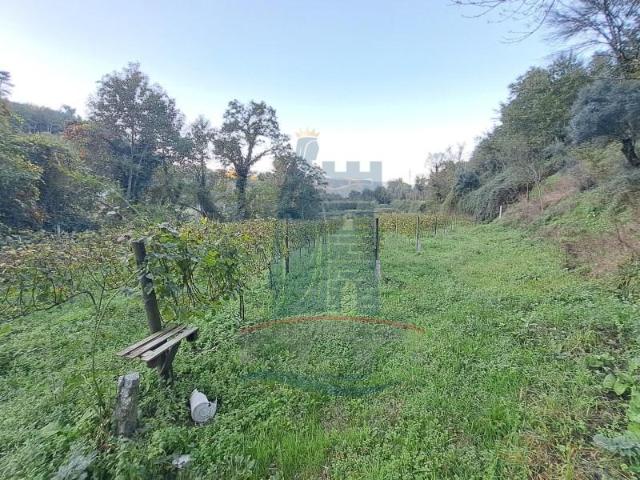Terreno venda em Arca e Ponte de Lima, Boalhosa