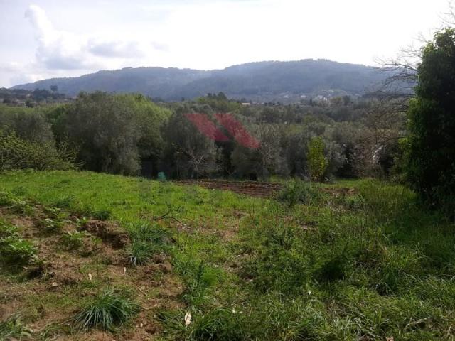 Terreno venda em Arca e Ponte de Lima, Ponte de Lima