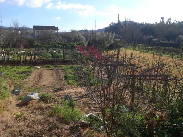 Terreno venda em Arca e Ponte de Lima, Boalhosa