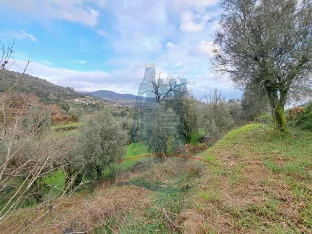Terreno venda em Arca e Ponte de Lima, Boalhosa