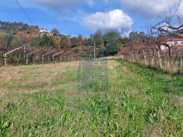 Terreno venda em Arca e Ponte de Lima, Boalhosa