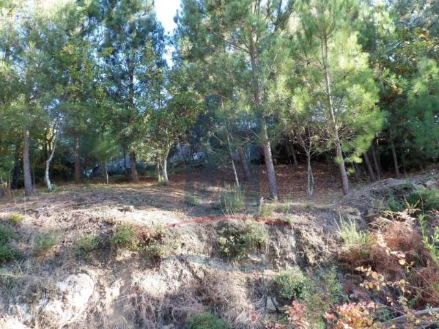 Terreno venda em Arca e Ponte de Lima, Boalhosa