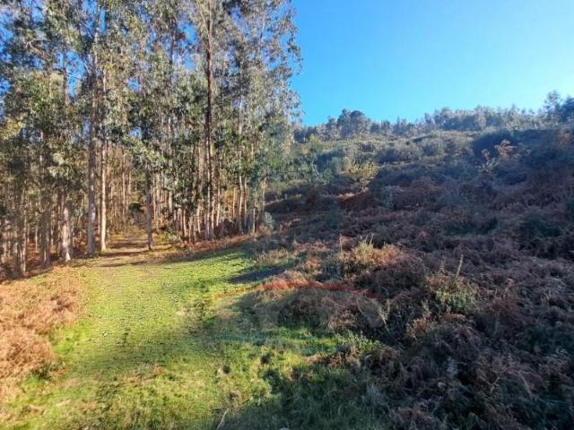 Terreno venda em Arca e Ponte de Lima, Boalhosa