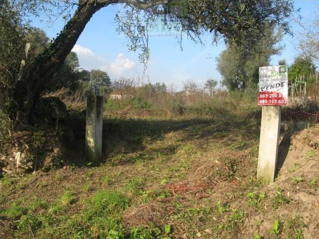 Terreno venda em Arca e Ponte de Lima, Ponte de Lima
