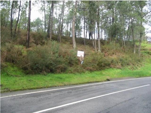Terreno venda em Arca e Ponte de Lima, Ponte de Lima