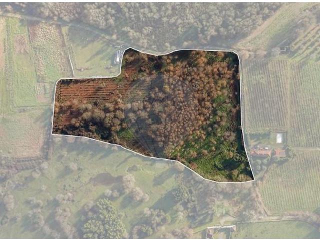 Terreno venda em Boalhosa, Viana Do Castelo