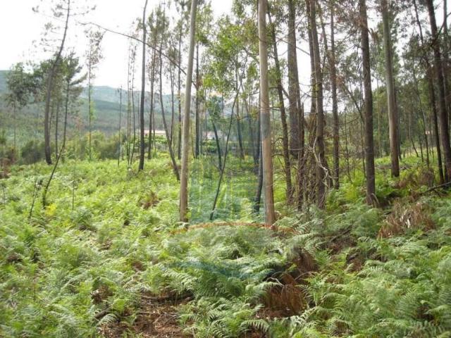 Terreno venda em Arca e Ponte de Lima, Boalhosa