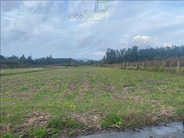 Terreno venda em Arca e Ponte de Lima, Boalhosa