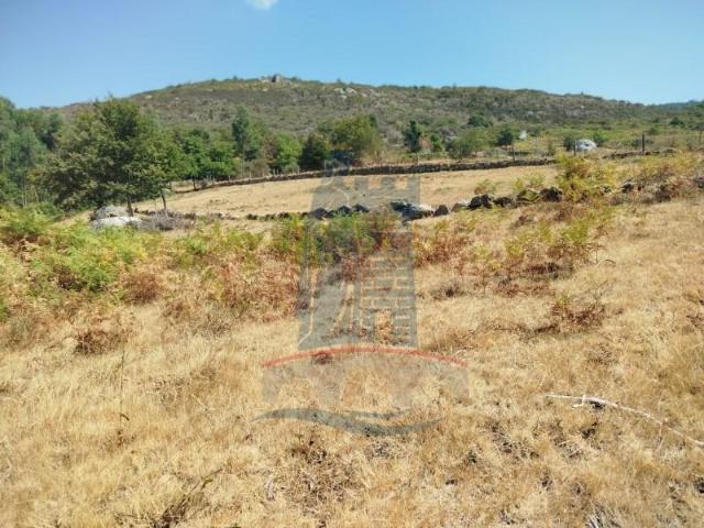 Terreno venda em Arca e Ponte de Lima, Boalhosa