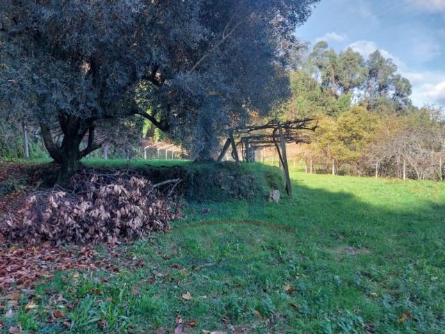 Terreno venda em Arca e Ponte de Lima, Boalhosa