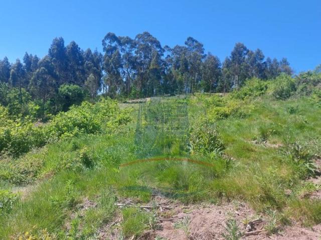 Terreno venda em Arca e Ponte de Lima, Ponte de Lima