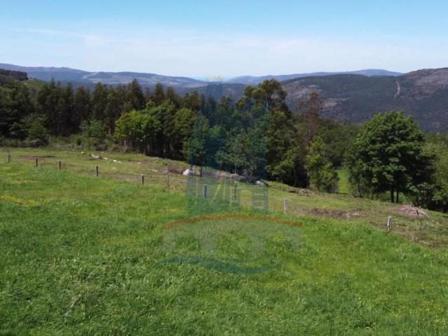 Terreno venda em Arca e Ponte de Lima, Boalhosa