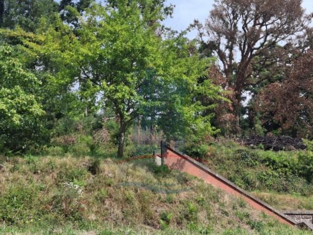 Terreno venda em Arca e Ponte de Lima, Boalhosa