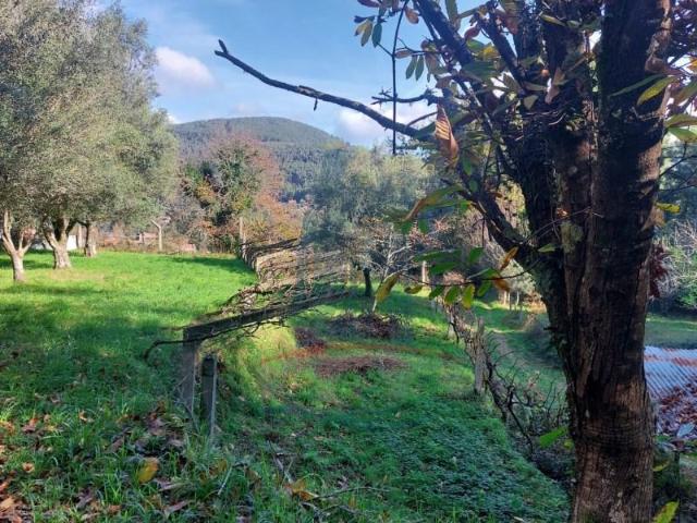 Terreno venda em Arca e Ponte de Lima, Boalhosa